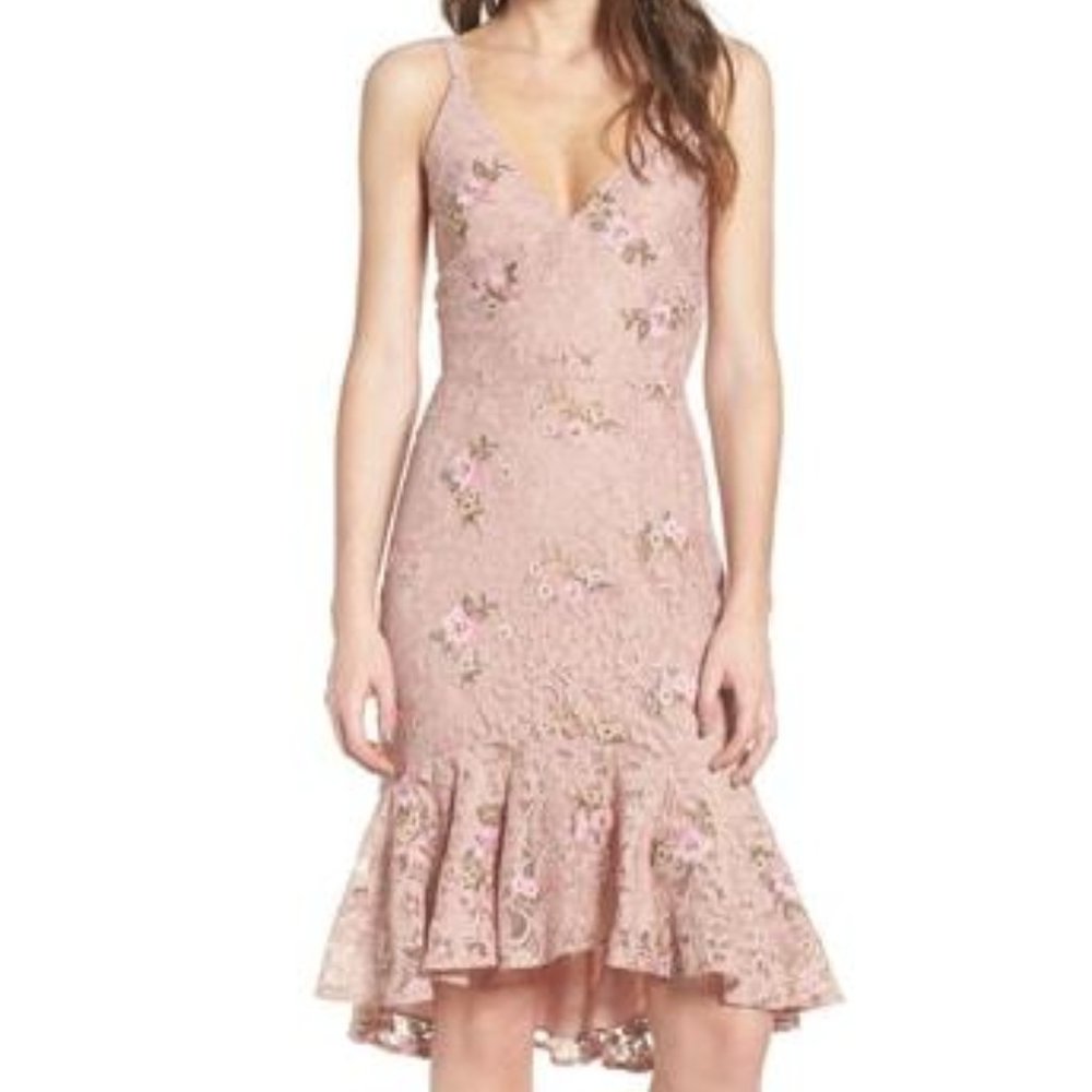 WAYF Ferrara Flare Hem Lace Dress in Blush. Size S
